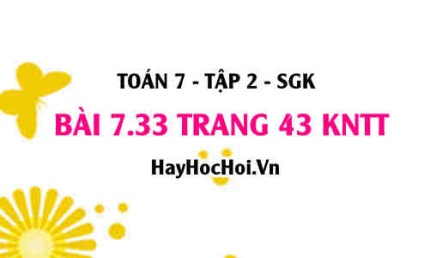 Bài 7.33 trang 43 Toán 7 Tập 2 Kết nối tri thức